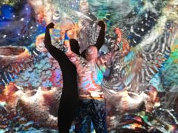 Signature images Fog Theatre 2019